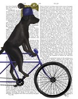 Black Labrador on Bicycle Fine Art Print