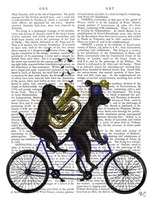 Black Labrador Tandem Fine Art Print