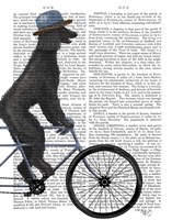 Poodle on Bicycle, Black Fine Art Print