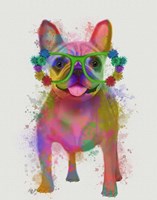 Rainbow Splash French Bulldog, Full Fine Art Print