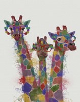 Rainbow Splash Giraffe Trio Fine Art Print