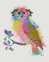 Rainbow Splash Owl Fine Art Print