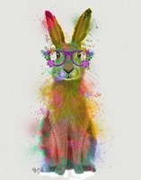 Rainbow Splash Rabbit 1 Fine Art Print