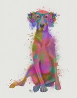 Rainbow Splash Weimaraner, Full Fine Art Print