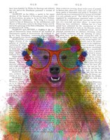 Rainbow Splash Bear Fine Art Print