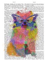 Rainbow Splash Pomeranian Fine Art Print