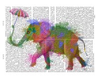 Rainbow Splash Elephant Fine Art Print