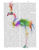 Rainbow Splash Flamingo 1 Fine Art Print