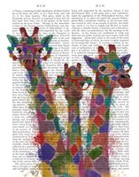 Rainbow Splash Giraffe Trio Fine Art Print