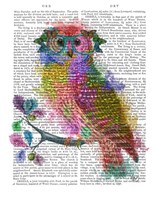 Rainbow Splash Owl Fine Art Print