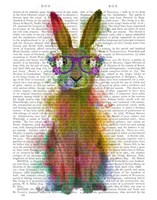 Rainbow Splash Rabbit 1 Fine Art Print