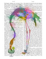 Rainbow Splash Flamingo 3 Fine Art Print