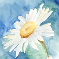 Daisy Sunshine I Fine Art Print