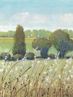 Summer Breeze I Fine Art Print