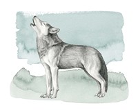 Animale I Framed Print