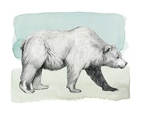 Animale II Framed Print