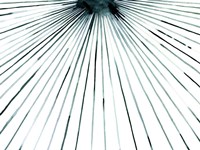 Strobe II Fine Art Print