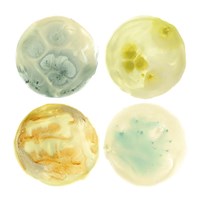 Planetary III Fine Art Print