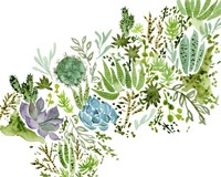 Succulent Field I Fine Art Print