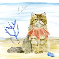 Summer Purr Party I Framed Print