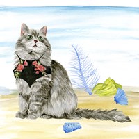 Summer Purr Party III Framed Print