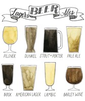 Beer Info Graphic Fine Art Print