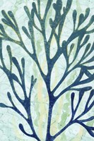 Sea Forest I Fine Art Print