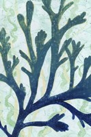 Sea Forest II Fine Art Print