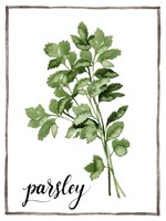 Watercolor Herbs II Fine Art Print