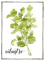 Watercolor Herbs IV Framed Print