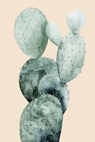 Cactus on Coral I Fine Art Print