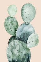 Cactus on Coral II Fine Art Print