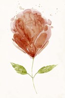 Boom Bloom I Fine Art Print