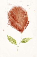 Boom Bloom II Fine Art Print