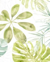 Island Medley II Framed Print