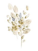 Bronze Spray II Framed Print