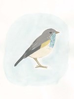 Dapper Bird I Framed Print