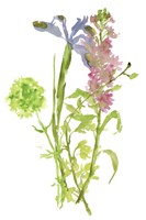 Summertime Daydream I Fine Art Print