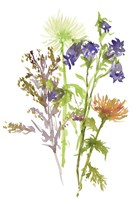 Summertime Daydream II Fine Art Print