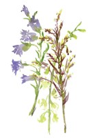 Summertime Daydream III Fine Art Print