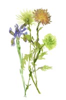 Summertime Daydream IV Fine Art Print