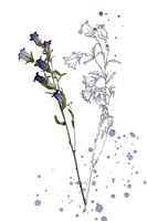 Botany Flower II Fine Art Print