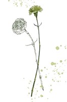 Botany Flower III Fine Art Print