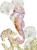 Undersea Creatures II Fine Art Print