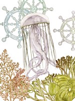 Undersea Creatures III Framed Print