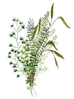 Green Bouquet II Fine Art Print