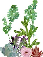 Little Garden I Fine Art Print