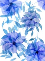 Midnight Flowers II Framed Print