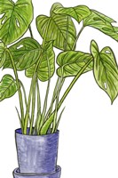 Potted Jungle III Fine Art Print