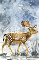 Snowy Night I Fine Art Print